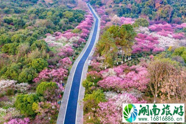 2022超山风景名胜区门票多少钱 附优惠政策