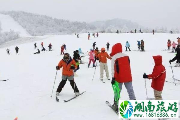 神农架滑雪攻略2022 神农架滑雪攻略2022