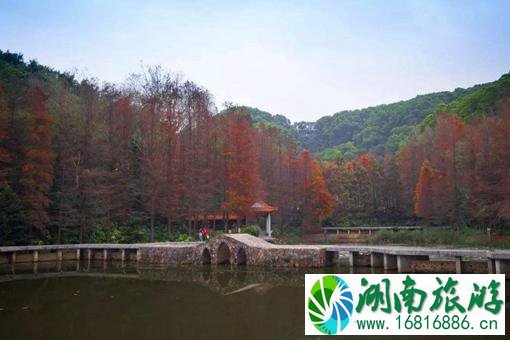 仙湖植物园春节期间开园闭园时间(附预约教程)