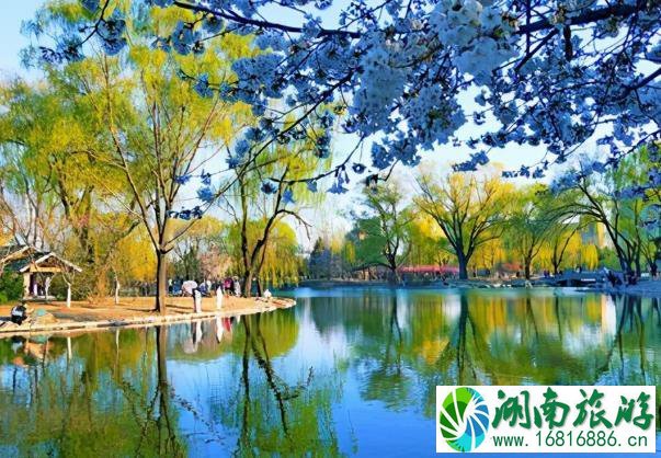 2022玉渊潭公园樱花最佳观赏时间 门票价格多少钱 2022玉渊潭公园樱花最佳观赏时间 门票价格多少钱