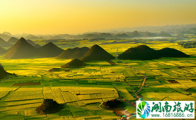 2022年罗平油菜花什么时候开 附最佳观赏地点 2022年罗平油菜花什么时候开 附最佳观赏地点
