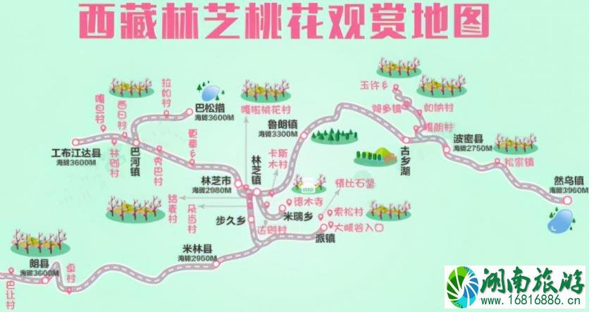 2022林芝桃花几月份去好 林芝桃花最佳观赏期 2022林芝桃花几月份去好 林芝桃花最佳观赏期
