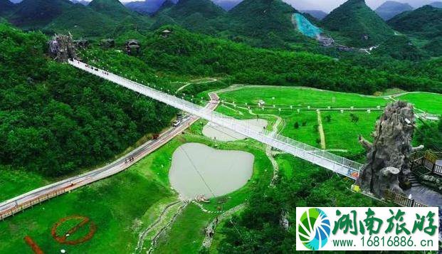 2022毕节百里杜鹃花开放了吗 2022毕节百里杜鹃花开放了吗