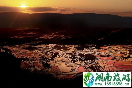 新浪旅游配图:夕阳下梯田美景 图:快乐人生 新浪旅游配图:夕阳下梯田美景 图:快乐人生