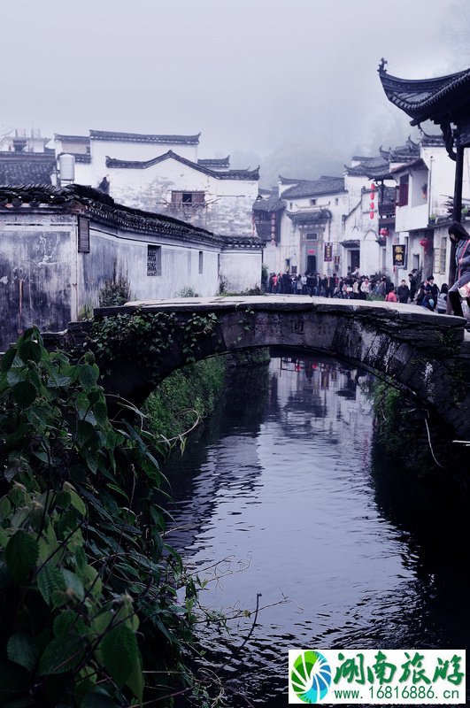 查看大图