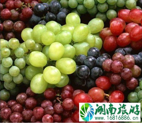 点击查看原图