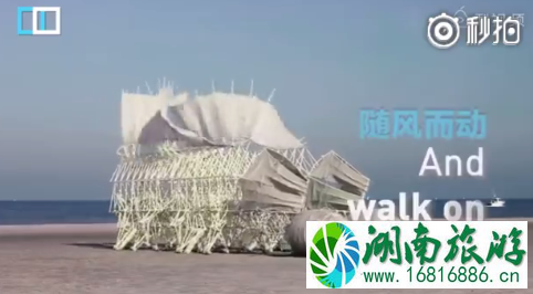 “海滩兽”是什么 “海滩兽”是谁发现的 “海滩兽”是什么 “海滩兽”是谁发现的