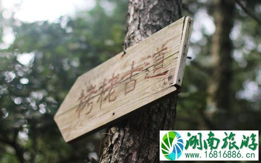慈溪鸣鹤古镇门票价格 要门票吗 慈溪鸣鹤古镇门票价格 要门票吗