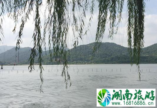 慈溪鸣鹤古镇门票价格 要门票吗 慈溪鸣鹤古镇门票价格 要门票吗