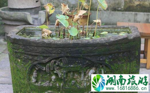 慈溪鸣鹤古镇门票价格 要门票吗 慈溪鸣鹤古镇门票价格 要门票吗