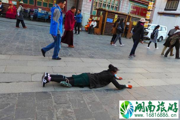 布达拉宫和大昭寺区别 布达拉宫和大昭寺多远 布达拉宫和大昭寺区别 布达拉宫和大昭寺多远