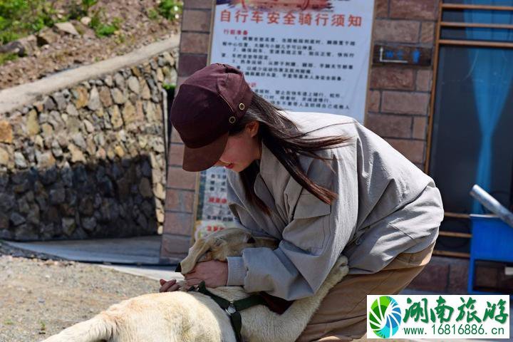 蓬莱仙岛旅游攻略 蓬莱仙岛自助游旅游攻略