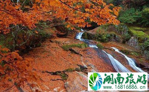 2017光雾山红叶节最好的拍摄地点和时间 2017光雾山红叶节最好的拍摄地点和时间
