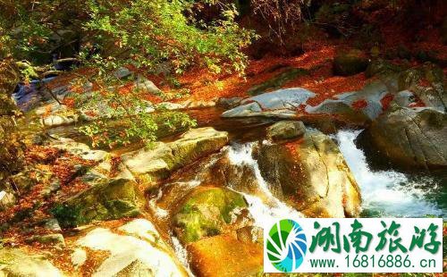 2017光雾山红叶节门票+时间+地点 2017光雾山红叶节门票+时间+地点