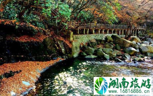 2017光雾山红叶节门票+时间+地点 2017光雾山红叶节门票+时间+地点