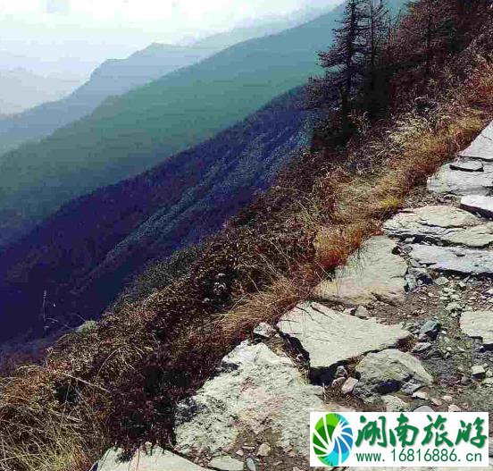 太白山门票多少钱 太白山门票学生票多少钱 太白山门票多少钱 太白山门票学生票多少钱