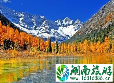 达古冰山在哪里 达古冰山门票是多少 达古冰山在哪里 达古冰山门票是多少