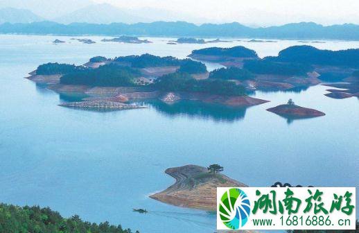 千岛湖作文800字 千岛湖作文800字