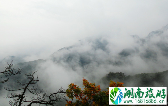凤凰山门票多少钱一张 凤凰山门票优惠政策 凤凰山门票多少钱一张 凤凰山门票优惠政策