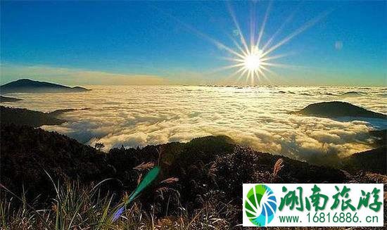 阿里山什么时候去最好 去阿里山需要带什么 阿里山什么时候去最好 去阿里山需要带什么