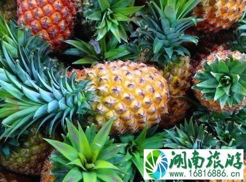 湛江特产有哪些 特产介绍 湛江特产有哪些 特产介绍
