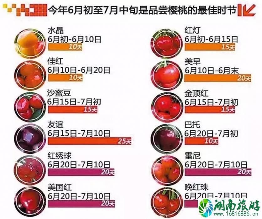 中国哪里的樱桃好吃 樱桃什么时候成熟 中国哪里的樱桃好吃 樱桃什么时候成熟
