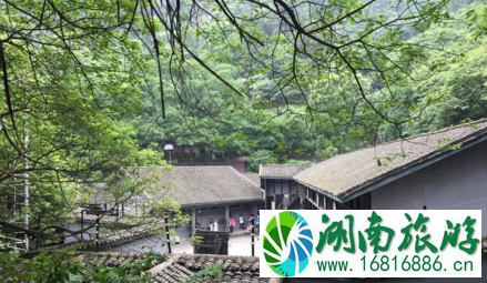 重庆有什么好吃的 重庆美食有哪些 重庆有什么特色小吃 重庆有什么好吃的 重庆美食有哪些 重庆有什么特色小吃