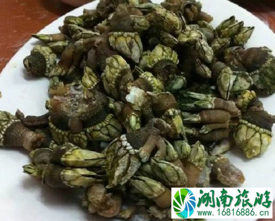 伶仃岛有什么好吃的 伶仃岛美食攻略 伶仃岛有什么好吃的 伶仃岛美食攻略