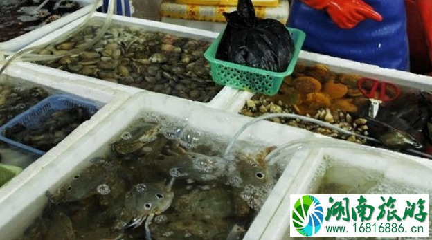 三亚市区哪里吃海鲜最好 三亚海鲜攻略 三亚市区哪里吃海鲜最好 三亚海鲜攻略