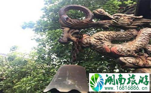 绍兴新昌有什么好吃的 新昌美食介绍 绍兴新昌有什么好吃的 新昌美食介绍