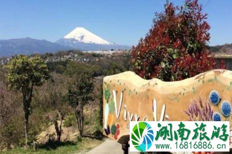 日本富士山美食餐厅攻略