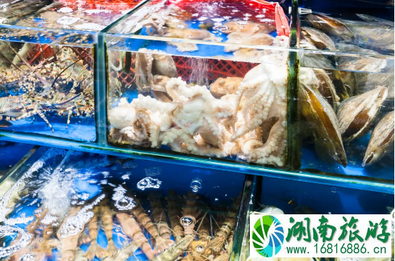 湛江海鲜去哪吃-美食推荐 湛江海鲜去哪吃-美食推荐