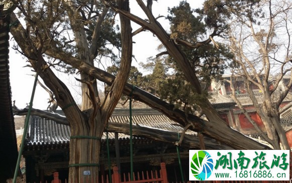 太原旅游交通攻略 太原旅游路线推荐 太原旅游交通攻略 太原旅游路线推荐