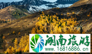 去四姑娘山怎么走 去四姑娘山怎么走