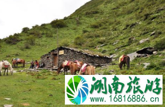 去四姑娘山怎么走 去四姑娘山怎么走