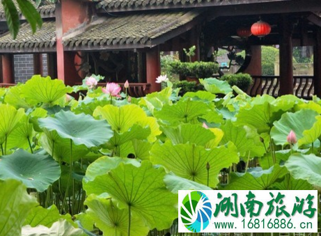 去大足石刻周围景点怎么走 去大足石刻周围景点怎么走
