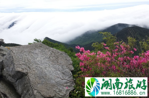 庐山五老峰怎么去 庐山五老峰图片 庐山五老峰怎么去 庐山五老峰图片