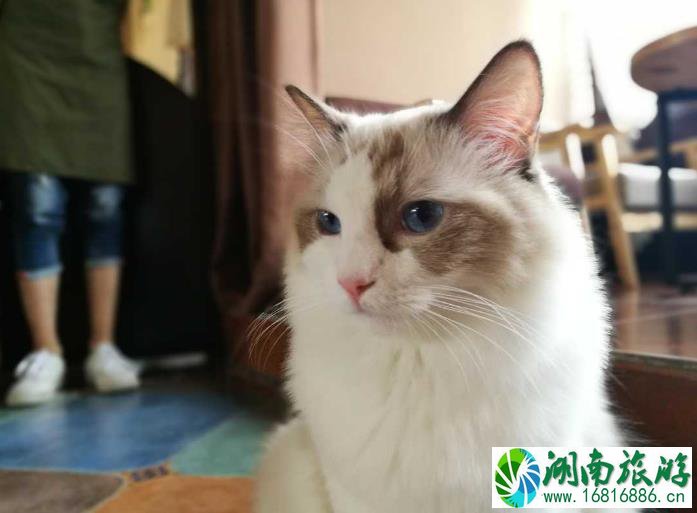 798艺术区地铁几号线 798艺术区观后感 798艺术区地铁几号线 798艺术区观后感