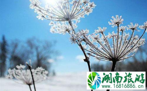雪乡自驾游攻略 哈尔滨到雪乡自驾怎么去 雪乡自驾游攻略 哈尔滨到雪乡自驾怎么去