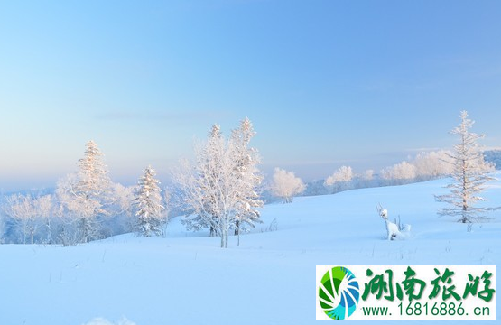 雪乡自驾游攻略 哈尔滨到雪乡自驾怎么去 雪乡自驾游攻略 哈尔滨到雪乡自驾怎么去