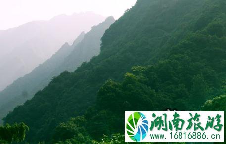衢州药王山怎么去 衢州药王山在哪 衢州药王山怎么去 衢州药王山在哪