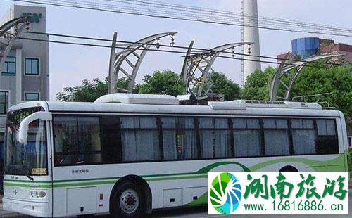 武汉电车8路路线改了吗 2022武汉电车8路最新线路 武汉电车8路路线改了吗 2022武汉电车8路最新线路