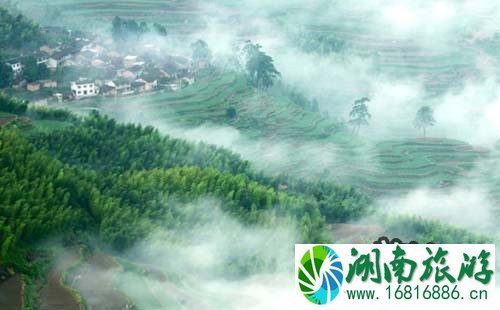 金华到遂昌南尖岩景区怎么走 遂昌南尖岩景区停车收费吗 金华到遂昌南尖岩景区怎么走 遂昌南尖岩景区停车收费吗