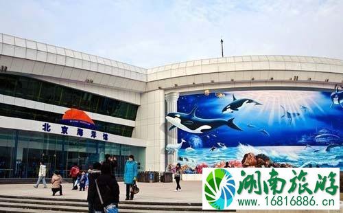 去北京海洋馆怎么走 北京海洋馆怎么坐地铁 去北京海洋馆怎么走 北京海洋馆怎么坐地铁