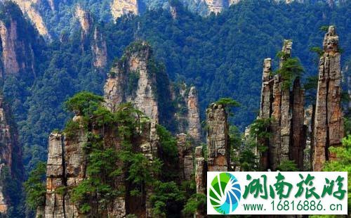 2022天子山游玩攻略 天子山在哪 2022天子山游玩攻略 天子山在哪