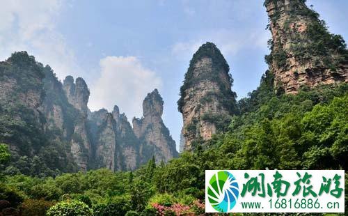 2022天子山游玩攻略 天子山在哪 2022天子山游玩攻略 天子山在哪