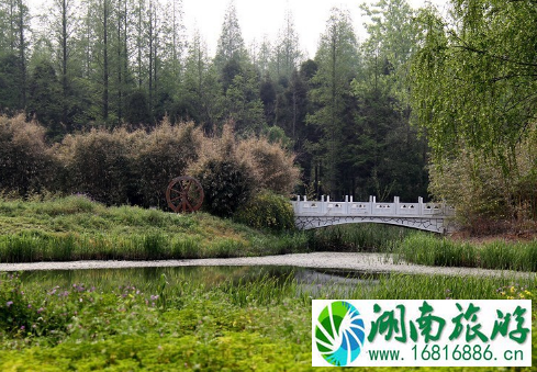 去崇明岛怎么坐车 上海崇明岛旅游交通攻略2022 去崇明岛怎么坐车 上海崇明岛旅游交通攻略2022