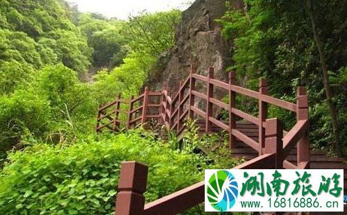 武汉九峰山森林公园怎么坐车 武汉九峰山森林公园交通攻略2022 武汉九峰山森林公园怎么坐车 武汉九峰山森林公园交通攻略2022