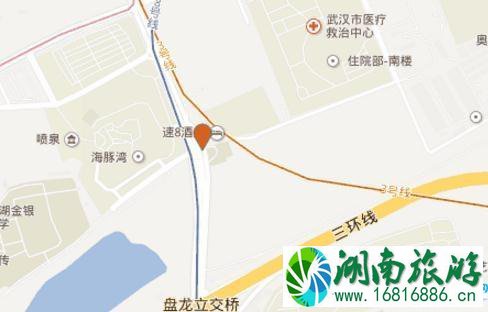 武汉极地海洋世界怎么去 武汉极地海洋世界交通攻略2022 武汉极地海洋世界怎么去 武汉极地海洋世界交通攻略2022
