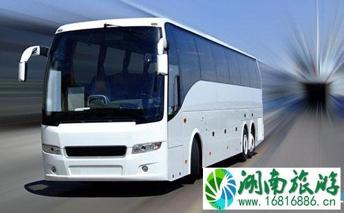 2022南京清明节扫墓专线什么时候开通/开通日期 2022南京清明节扫墓专线什么时候开通/开通日期